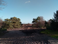 Heidevelden