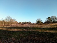 De Borkeld