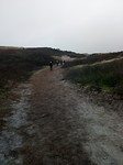 De duinen in