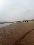 mensenmassa
