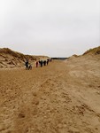 de duinen in