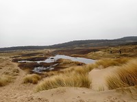 richting Petten