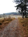 duinen dus zand