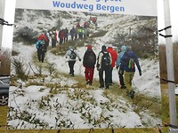 Stempelpost Woudweg: komkommer en wortels