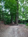 Elyzeese Velden