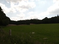Elyzeese Velden