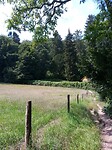 Elyzeese Velden