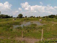 Groenlanden