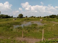 Groenlanden