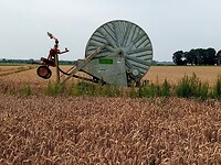 IMG_20200719_110744