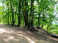 IMG_20200719_130408