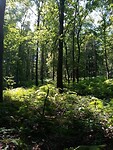 IMG_20200719_133037