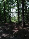IMG_20200719_134025