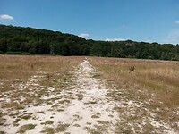 IMG_20200719_154520