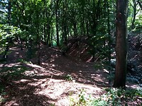 IMG_20200719_160515