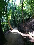 IMG_20200719_161824