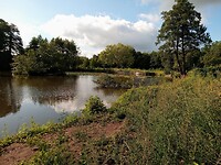 Mookerplas