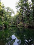 IMG_20200720_092006