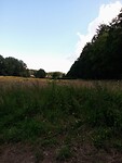 IMG_20200720_093417