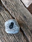 IMG_20200720_093742
