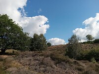 IMG_20200720_095621