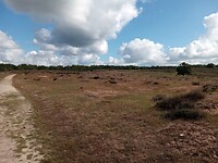IMG_20200720_100025