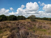 IMG_20200720_100206