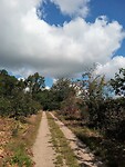 IMG_20200720_102516