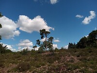 IMG_20200720_113758