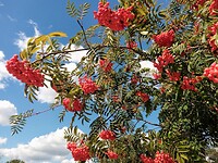 IMG_20200720_114513