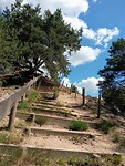 IMG_20200720_115444