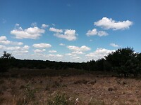 IMG_20200720_124940