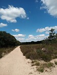 IMG_20200720_125435