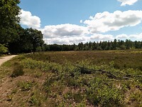 IMG_20200720_130151