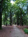 IMG_20200720_133331