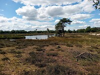 IMG_20200720_154831