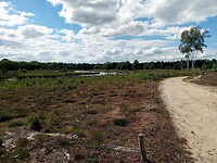 IMG_20200720_155455