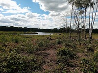 IMG_20200720_155554