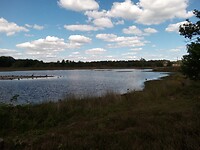 Hatertse Vennen