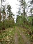 IMG_0608