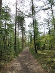 IMG_0609