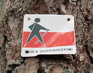 IMG_0610