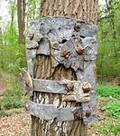 IMG_0611