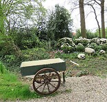 IMG_0612