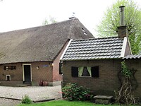 IMG_0614