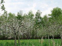 IMG_0615