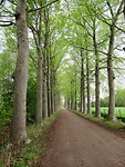 IMG_0616