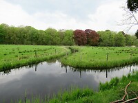 IMG_0617