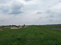 IMG_0620