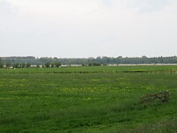 IMG_0621
